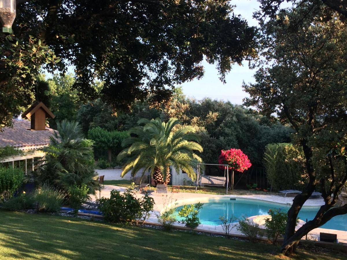 Santolines En Provence Bed and Breakfast Piolenc Eksteriør billede