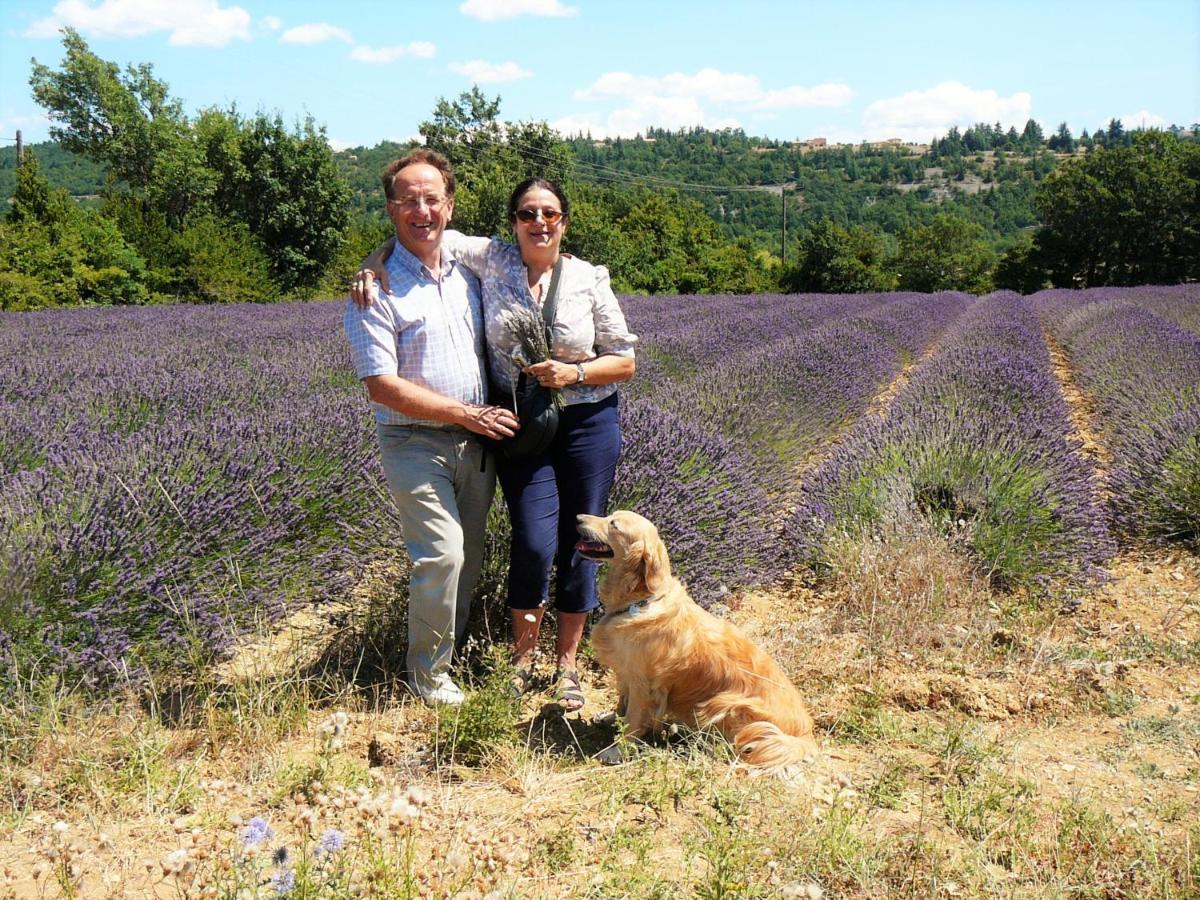 Santolines En Provence Bed and Breakfast Piolenc Eksteriør billede
