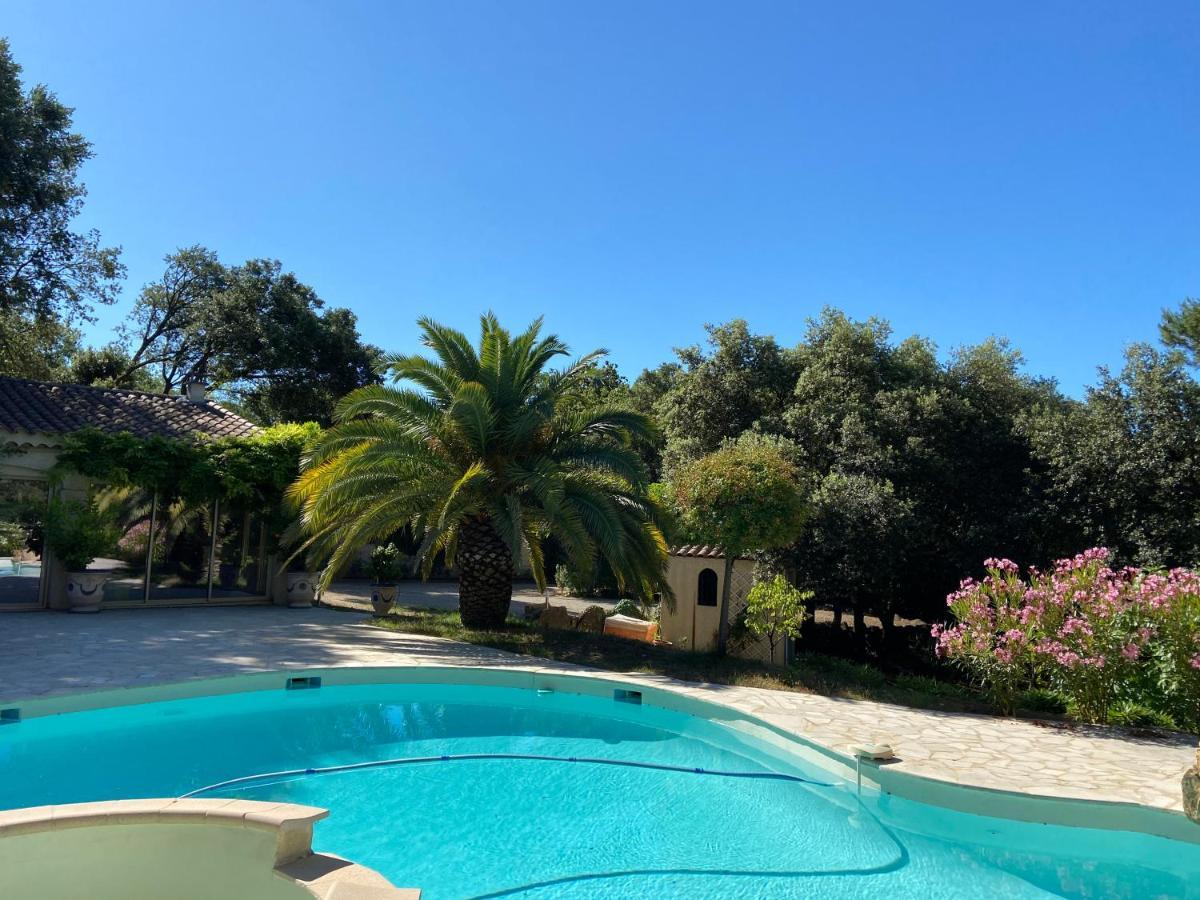 Santolines En Provence Bed and Breakfast Piolenc Eksteriør billede