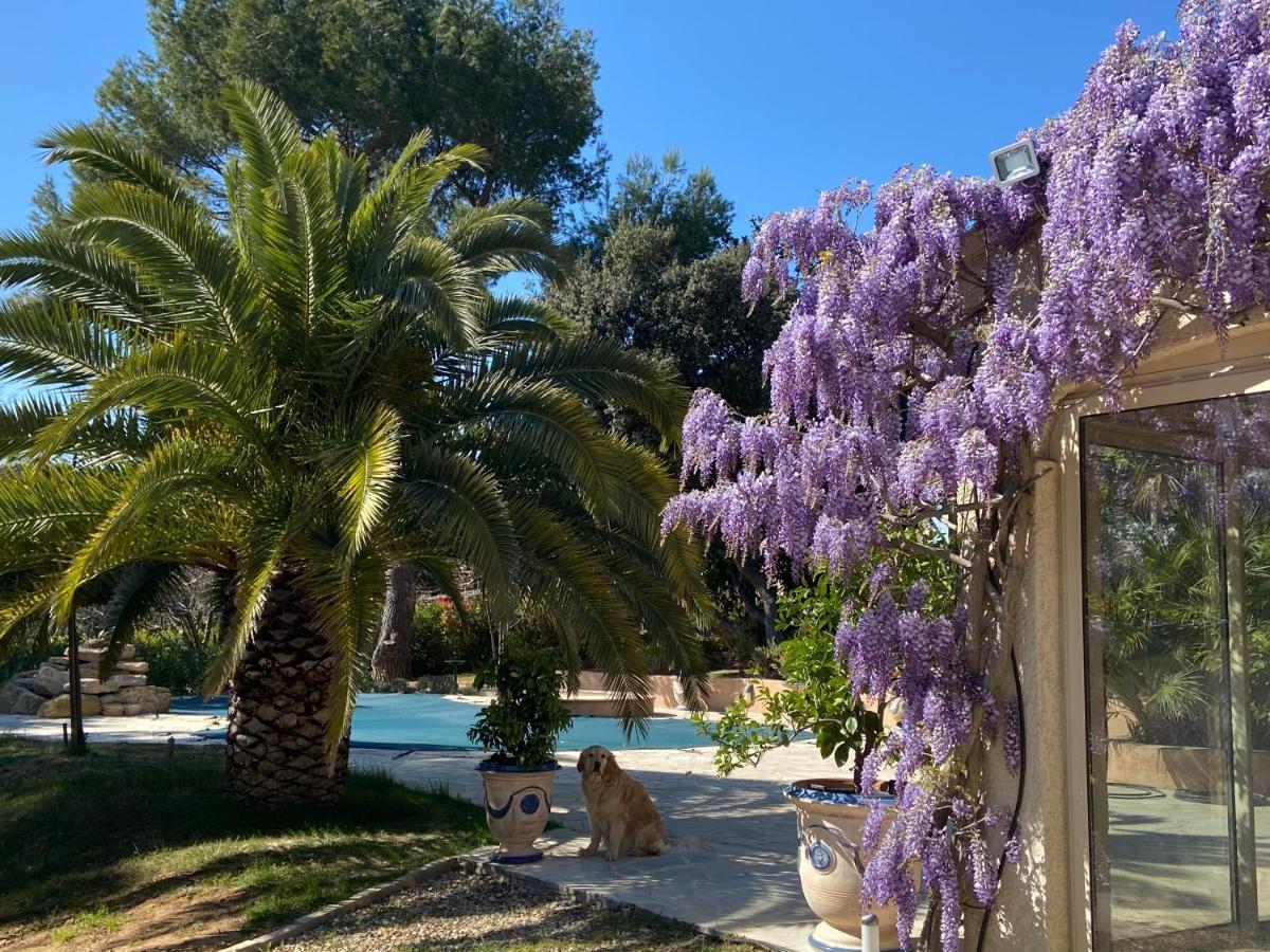 Santolines En Provence Bed and Breakfast Piolenc Eksteriør billede